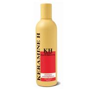 Keramine H Sh Seboreg 300ml