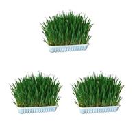 KERBL 83199 - Erba per roditori (Erba Animale da 100 g, 20 x 14,6 x 3,5 cm, mangime Verde) (Confezione da 3)