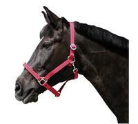 Kerbl Aktionsware Nylon Aktionsware Classic, Colore Rosso, 1, 32107