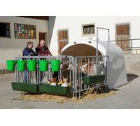 Kerbl CalfHouse Premium XL con recinto incluso Igloo per vitelli