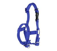 Kerbl Cavezza alpaca per tutti i tipi di alpaca, chiusura a clip, misura regolabile, blu