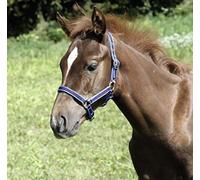 Kerbl Cavezza Esclusiva per Suole con Fibbia ad ardiglione, Blu Scuro, 32262