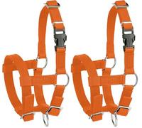 Kerbl Cavezza per Alpaca, con Chiusura a Clip, Arancione, Taglia Universale, Regolabile, Materiale Morbido, Lavabile (Confezione da 2)