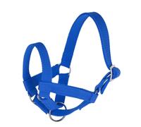 Kerbl Cavezza per lama Collare regolabile 60 blu