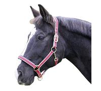 Kerbl Exklusiv-Cavezza con 2 Fibbie ardiglione, Colore Grigio, 4, 32218