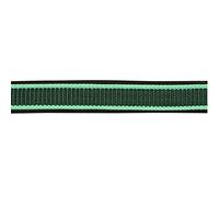 Kerbl Exklusiv-Cavezza Fibbia con 2 Fibbie, Colore Verde, 3, 32210