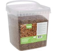 Kerbl Hobbyfarming Vermi della Farina 900 g