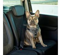 Kerbl Imbracatura di Sicurezza Auto per Animali Domestici 44-55cm Nera