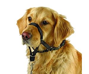 Kerbl Maxi Coach - Imbracatura per addestramento ed educazione dei cani