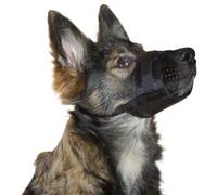 Kerbl, museruola per Cani, in Nylon