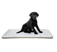 Kerbl Pet Toilette per Cucciolo XL, 60 x 90 cm