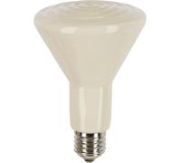 Kerbl Radiatore in Ceramica Scura - 100 Watt