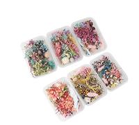 KERDEJAR Fiori secchi per Nail Art,Vero Fiore essiccato,Resina Fiore Nail Art Decalcomania epossidica Stampo riempimento creazione di Gioielli