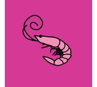 Kero Kero Bonito Flamingo (Vinyl LP)