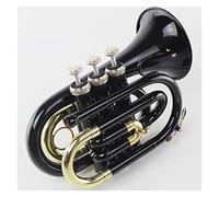 KERREY B Flat Pocket Tromba Strumento Colore Ottone Laccato Chiave d'oro Strumento per Principianti Strumento Musicale Mini Trumpet (Color : 01)