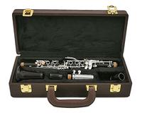 KERREY clarinetto Professionale New EB 17 Keys Clarinetto Professionale Clarinetto in Legno di Ebano Chiave Argentata (Color : Army Green)