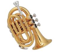 KERREY Eccellente Corpo in Ottone Laccato Oro Tono SIB Pocket Tromba in Ottone Strumento Adatto Ai Principianti Mini Trumpet
