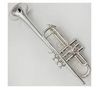 KERREY Principianti di Strumenti per Tromba Professionale con Chiave A C Placcati in Argento/Oro per Suonare Uno Strumento di Tromba in Ottone A Livello di Esame Standard Tromba (Color : 02)