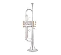 KERREY Strumenti Musicali Professionali per Tromba Tromba Piccola in SIB Chiave d'oro d'Argento con Custodia Uso per Principianti Standard Tromba