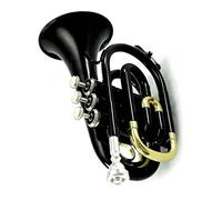 KERREY Strumento A Fiato in Ottone per Tromba Tascabile Professionale Piatto B BB Tono con Custodia per Guanti Bocchino Mini Trumpet (Color : 01)
