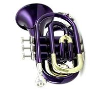 KERREY Strumento A Fiato in Ottone per Tromba Tascabile Professionale Piatto B BB Tono con Custodia per Guanti Bocchino Mini Trumpet (Color : 04)