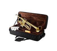 KERREY Strumento A Fiato in Ottone Vernice Gold Standard Tromba in SIB per Principianti per Suonare Ottoni D'esame Standard Tromba
