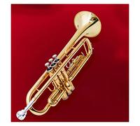 KERREY Strumento Musicale A Tromba Corno A Tre Toni in Si Bemolle per Principianti per Suonare Uno Strumento Musicale Occidentale in Ottone da Esame Standard Tromba