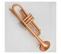 KERREY Strumento Musicale per Tromba Marrone di Alta qualità per Principianti per Suonare Una Tromba Professionale A Tre Toni in Ottone Placcato al Fosforo Standard Tromba