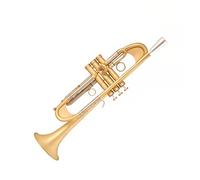 KERREY Strumento Musicale Tromba Professionale B-Flat Tromba Pesante Strumento Musicale Band Test Prestazioni Professionali Standard Tromba (Color : 01)