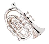 KERREY Strumento Professionale in Ottone Placcato Argento Pocket Trumpet Tone BB Adatto per i Principianti Mini Trumpet