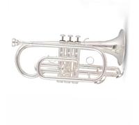 KERREY Strumento Tromba Strumento Tromba Cornetta in Si Bemolle per Principianti Professionale in Ottone Argentato Resistente Tono(Silver)