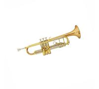 KERREY Strumento Tromba Tromba Strumento Musicale Si Bemolle Fosforo Rame/Ottone/Nichel Tubo di Rame Universale Professionale per Principianti Tromba