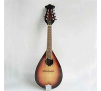 KERREY Treble Mandolino Otto Corde Mandolino Mandolino (Color : 02)