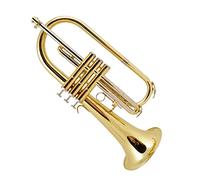 KERREY Tromba da Tasca in Oro Laccato Si Bemolle Fluger Ottone Musica Esame di Grado per Principianti Suonare La Tromba Mini Trumpet