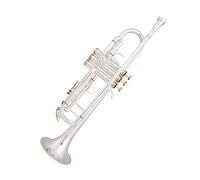 KERREY Tromba in SIB Standard Argento Chiave d'oro Strumenti Musicali Professionali con Custodia Utilizzata dagli Studenti Principianti Standard Tromba (Color : Silver)