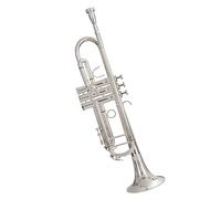 KERREY Tromba Standard Placcata in Argento di Alta qualità Tromba in Ottone Si Bemolle Strumento Musicale per Bambini Test di Gioco per Adulti Standard Tromba