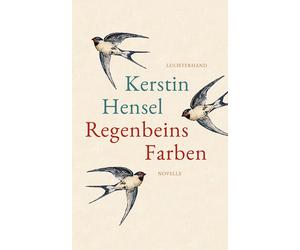 Kerstin Hensel Regenbeins Farben: Novelle (Copertina rigida)