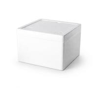 KESOTO Custodia Medica Isolata Portatile Borsa Termica Contenitore Termico Scatola Refrigerata in Schiuma a Isolamento Potenziato E Struttura Antipressione