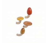KESOTO Magnete a Forma di in Legno con Cappello Sferico E Base Ricurva per Fissare Note Adesive E Piccoli Frigo E perfici Magnetiche Adatto per Ufficio E Ingresso di Casa, Stile B