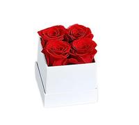 kesurpae Rosa stabilizzata Fiore eterno Immortale colorato Fai-da-Te di Lunga Durata per la Decorazione del Ringraziamento dell'anniversario di Matrimonio, Bianco Rosso, 4 Teste