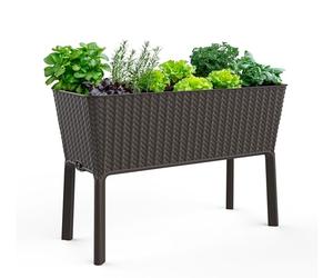 Keter Easy 31,7 galloni aiuola rialzata da giardino con fioriera autoirrigante e tappo di drenaggio, perfetto per coltivare verdure fresche, fiori ed erbe, grafite