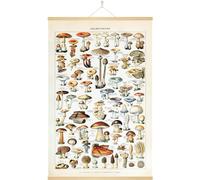 Keuyeo Poster Vintage a Forma di Fungo, Rustico, retrò, Appeso a Parete, con Stampe Artistiche, Grafico di Riferimento Illustrativo, per Camera Letto, Soggiorno, Ufficio