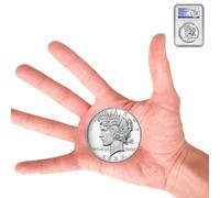 KEWEIYASW 2023 peace dollar coins First Edition