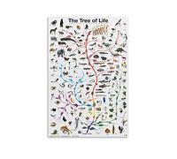 KEWORLAN Poster & Stampe Evoluzione L'Albero della Vita Eurographics Poster Stampa artistica da parete su tela per decorazione da parete per camera da letto, regalo, 30 x 45 cm, senza cornice, stile 4