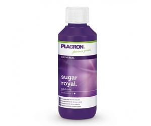 KEXMY Florateck - Sugar-Royal - Spiaggone - 100 ml