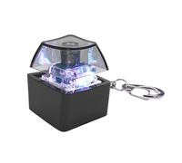 Keyboard Fidget - Mechanical Click Keychain, LED Light Key Fob, Tactile Sensory Tool for Adults, Students, Discrete Stress Reliever, Everyday Carry Item, Interactive Light Experience