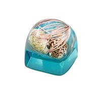 Keycap in Resina Artisana Multicolore con Modello Sottomarino della per Tastiere Meccaniche Personalizzabili Keycaps Traslucidi