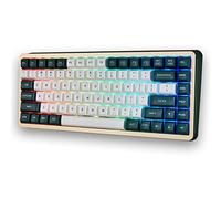 Keycaps Cherry Blossom Altezza per 61/64/68/84/87/104/108 Cherry Mx Switch ISO ANSI Layout tastiera meccanica (verde+bianco)