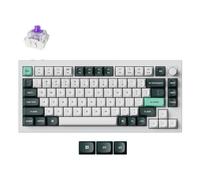 Keychron Q1 HE tastiera Universale USB + RF Wireless + Bluetooth QWERTY Nordic B