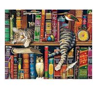 KEYIFA Dipingere con i Numeri per Adulti, Painting by Numbers Kit Gatto carino e libro con Pennelli e Acrilico Pigmento, Fai da te Olio La Pittura di Numeri Kit, Decora la Casa 50x40CM